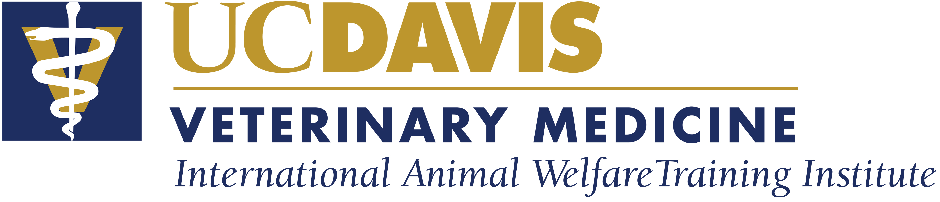 School Of Veterinary Medicine