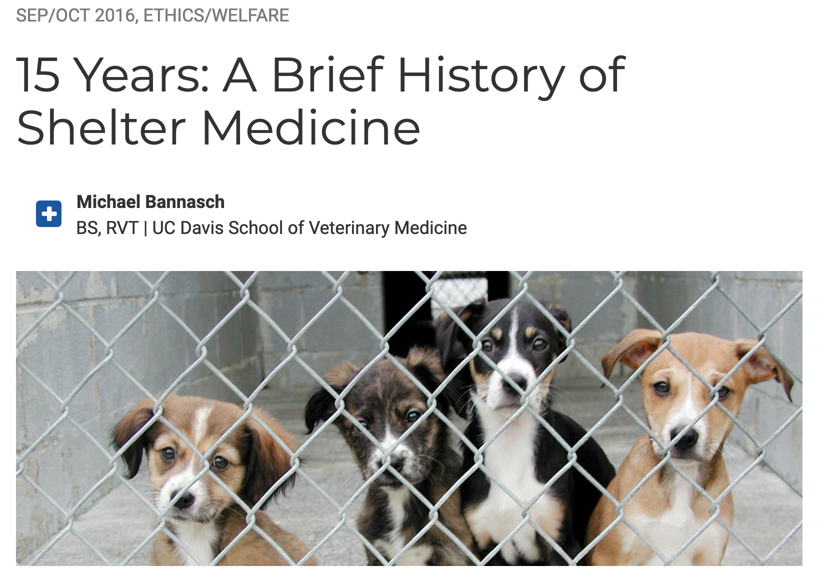 Article on the Brief History of Shelter Medicine