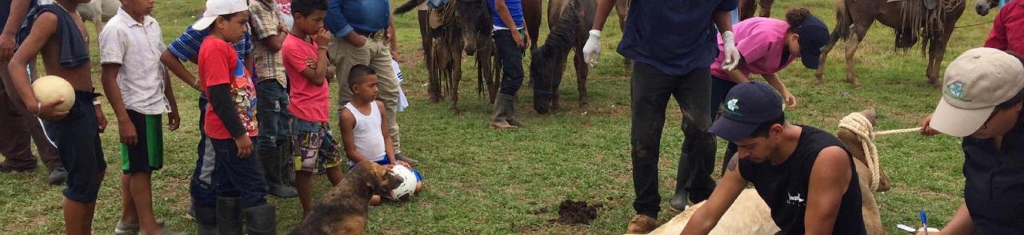 Rural Veterinarian Clinic in Nicaragua