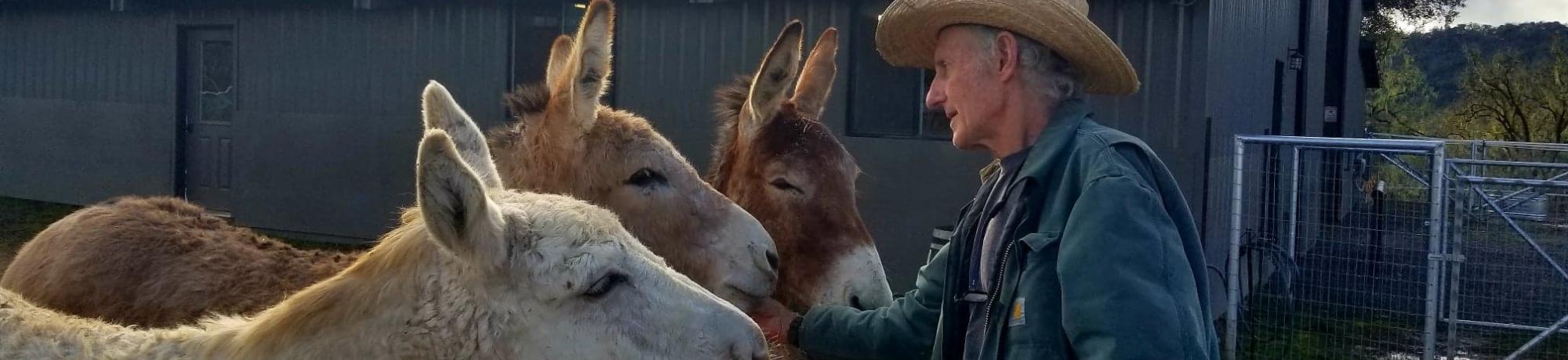 Dr. Eric Davis with donkeys